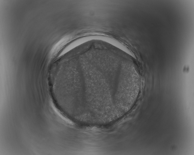 X0000112210197200909041349