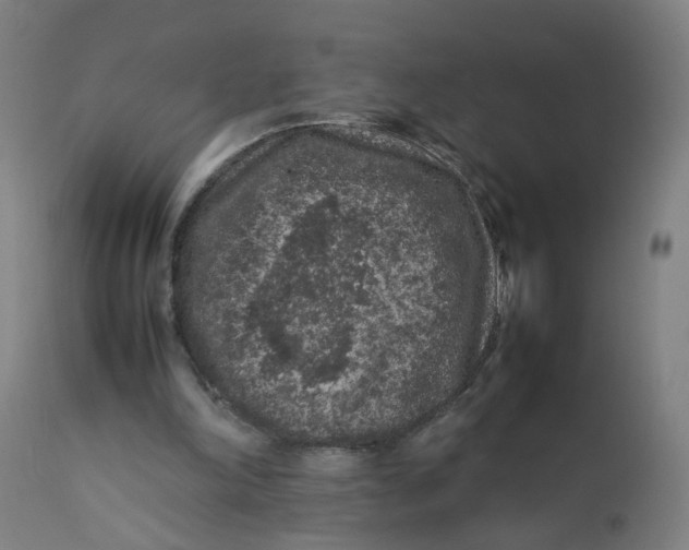 X0000112210198200909041349