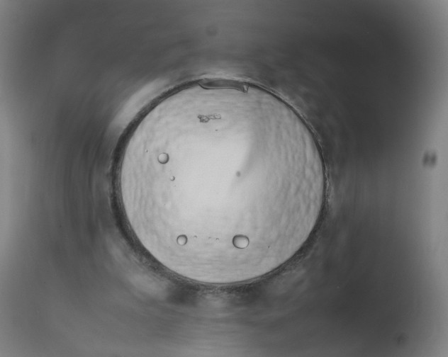 X0000112210199200909041349