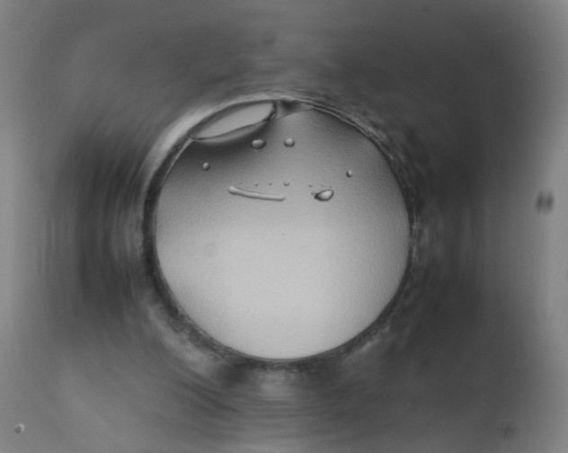 X0000112210200200909041349