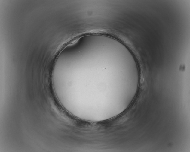 X0000112210201200909041349
