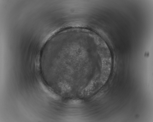 X0000112210202200909041349