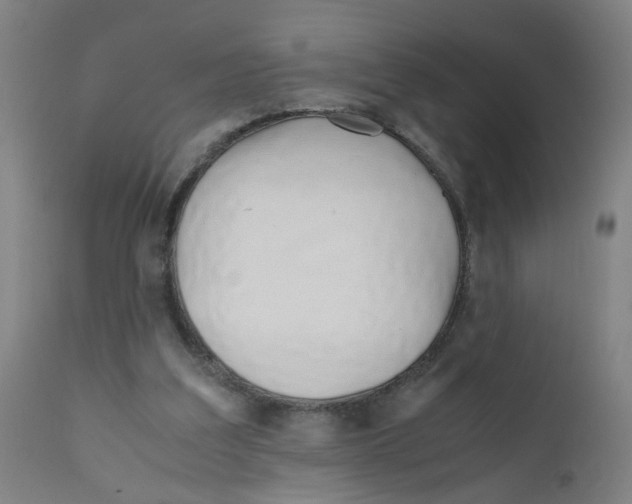 X0000112210203200909041349