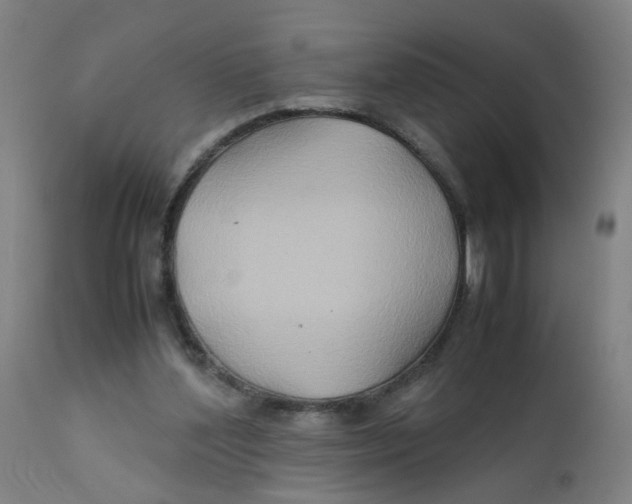X0000112210204200909041349