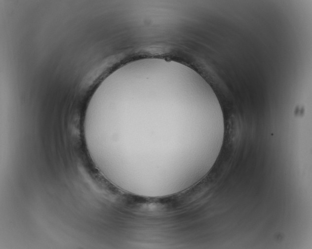 X0000112210212200909041349