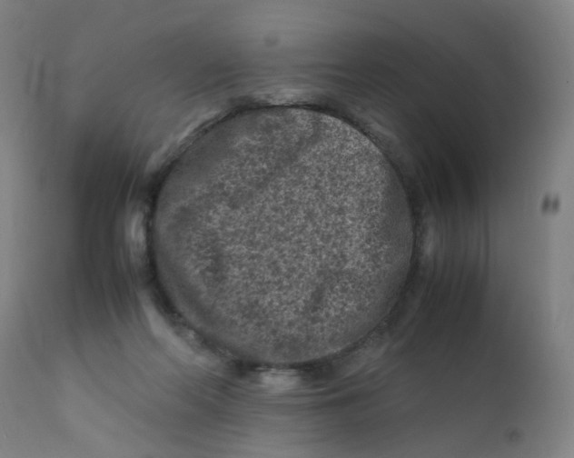 X0000112210214200909041349