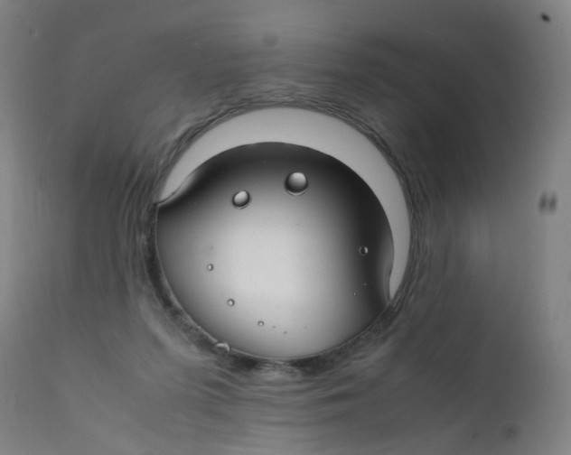 X0000112210215200909041349