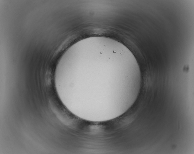 X0000112210216200909041349