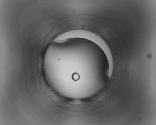 X0000112210219200909041349