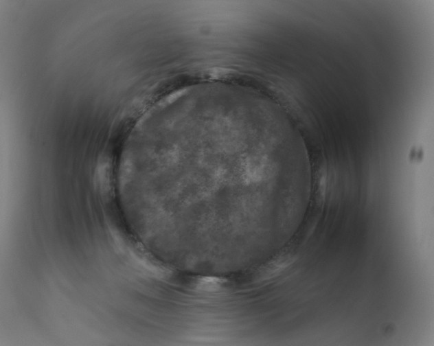 X0000112210222200909041349