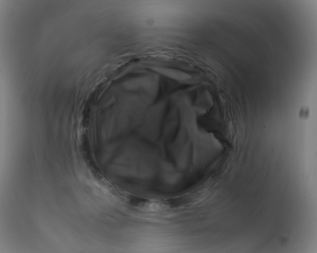X0000112210223200909041349
