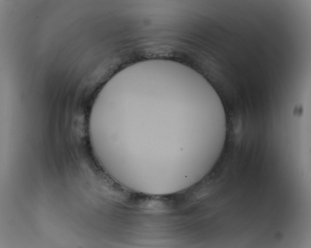 X0000112210224200909041349
