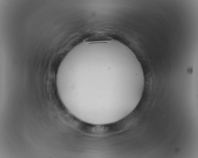 X0000112210225200909041349