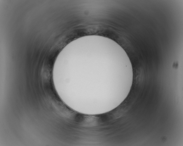 X0000112210226200909041349
