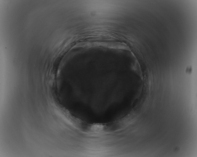 X0000112210227200909041349