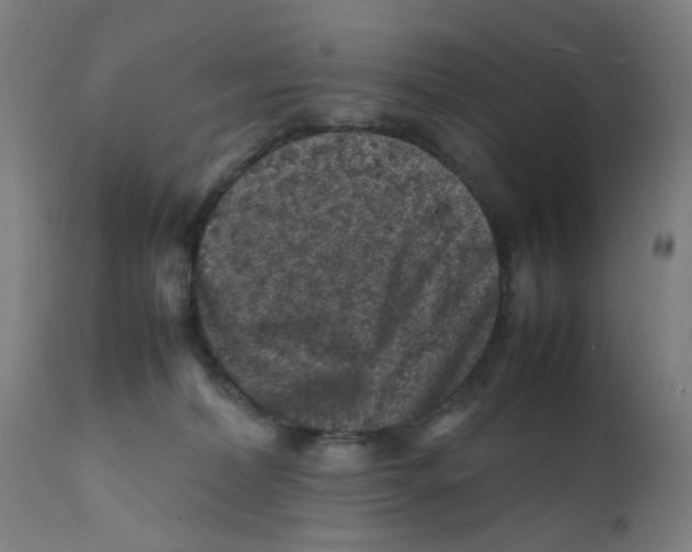 X0000112210228200909041349