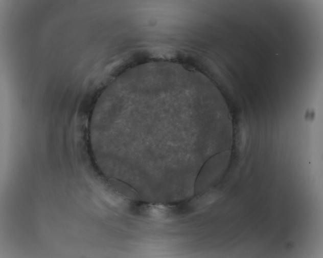 X0000112210229200909041348