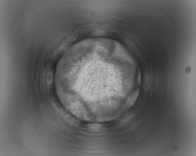 X0000112210230200909041348