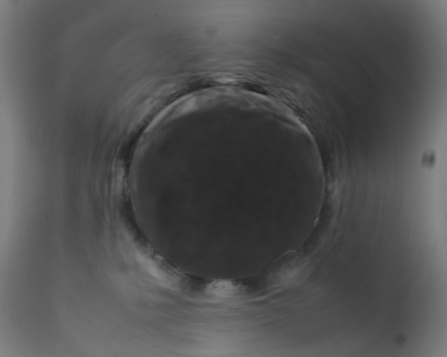 X0000112210231200909041348