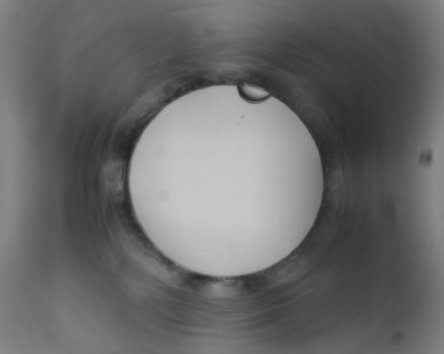 X0000112210232200909041348