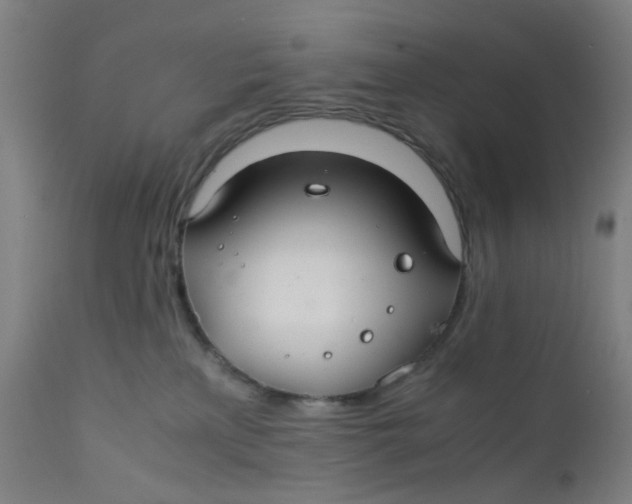 X0000112210233200909041348