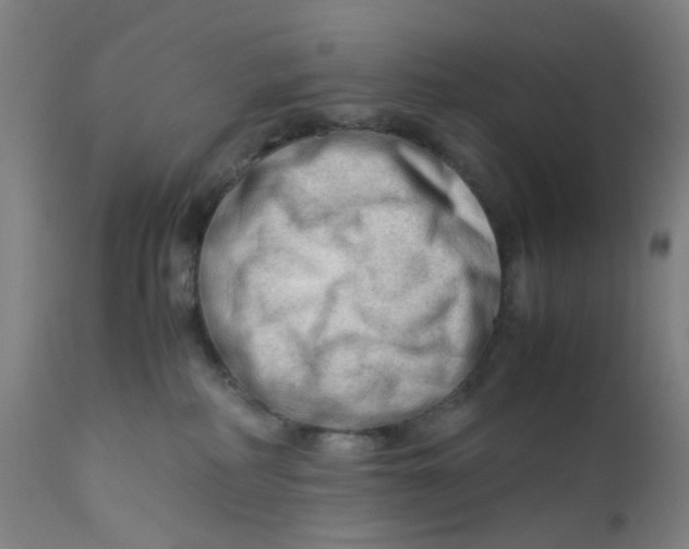 X0000112210234200909041348