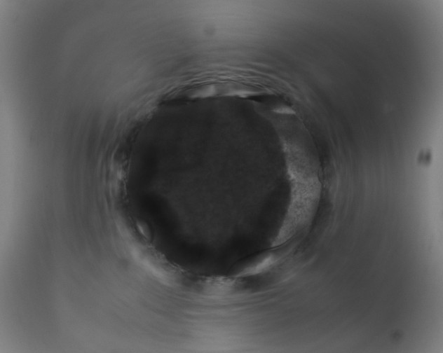 X0000112210235200909041348