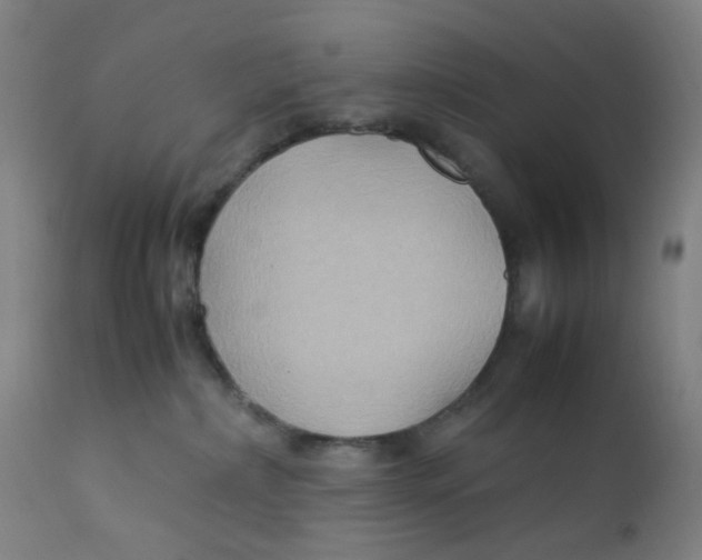 X0000112210236200909041348
