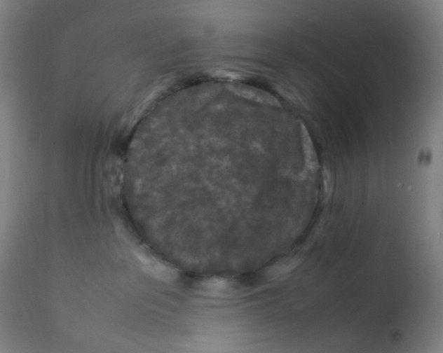X0000112210237200909041348