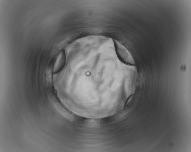 X0000112210238200909041348