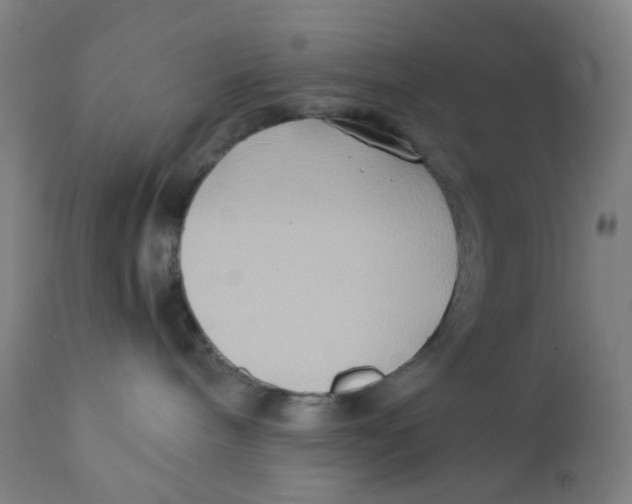 X0000112210240200909041348