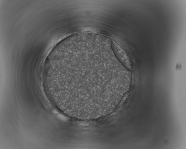 X0000112210241200909041348