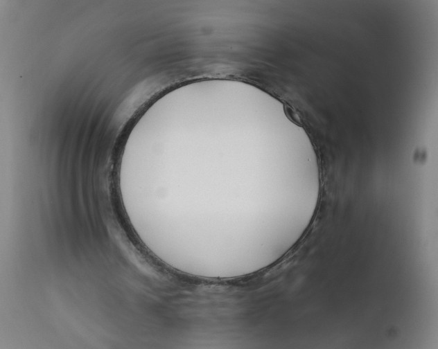 X0000112210242200909041348