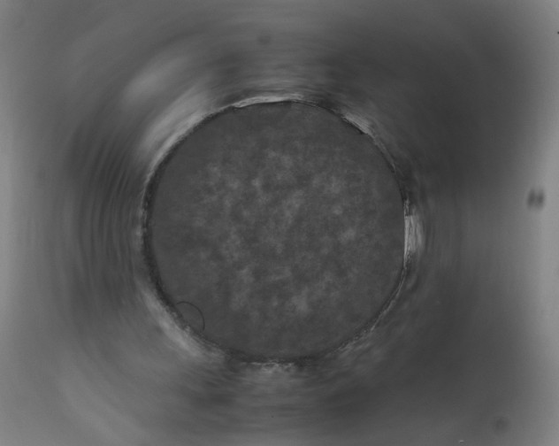 X0000112210243200909041348