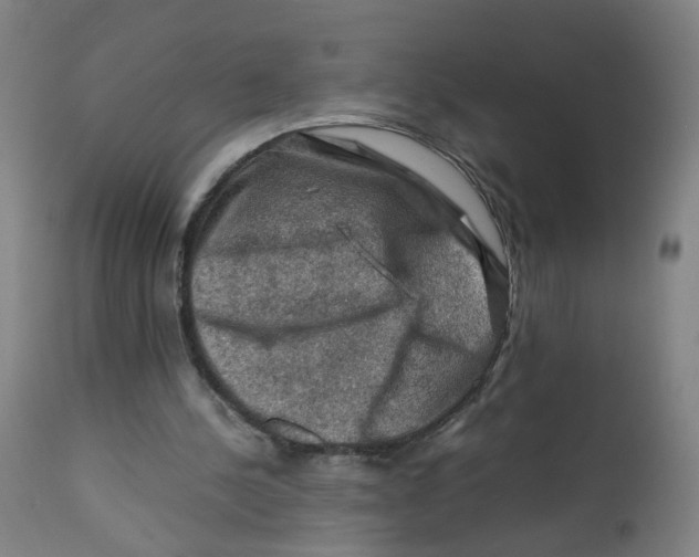 X0000112210244200909041348