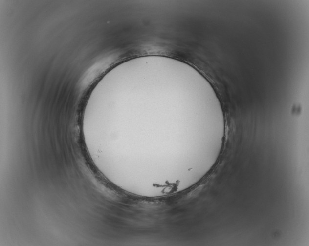 X0000112210245200909041348