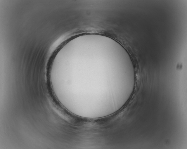 X0000112210246200909041348