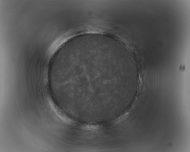 X0000112210247200909041348