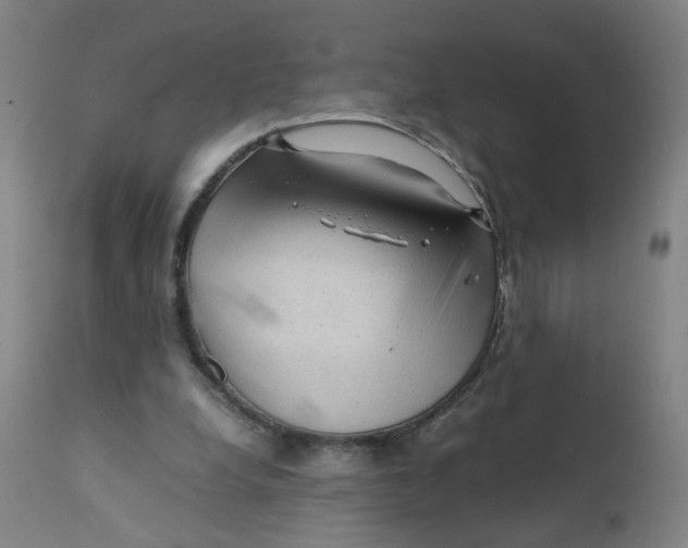 X0000112210248200909041348