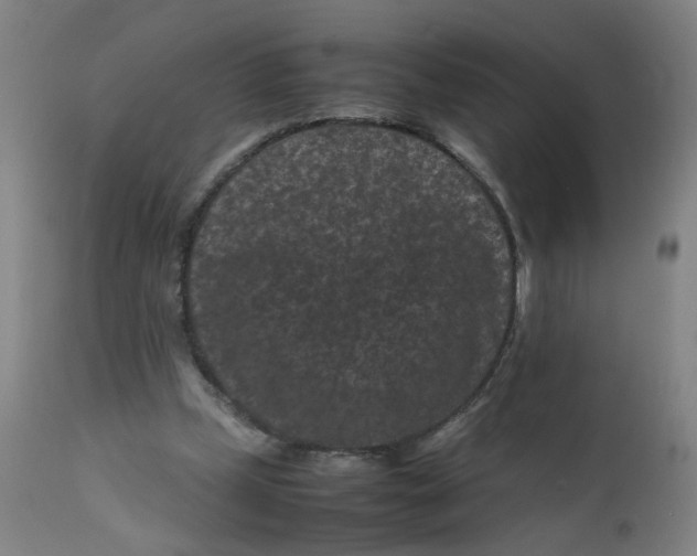 X0000112210249200909041348