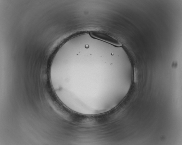 X0000112210252200909041348