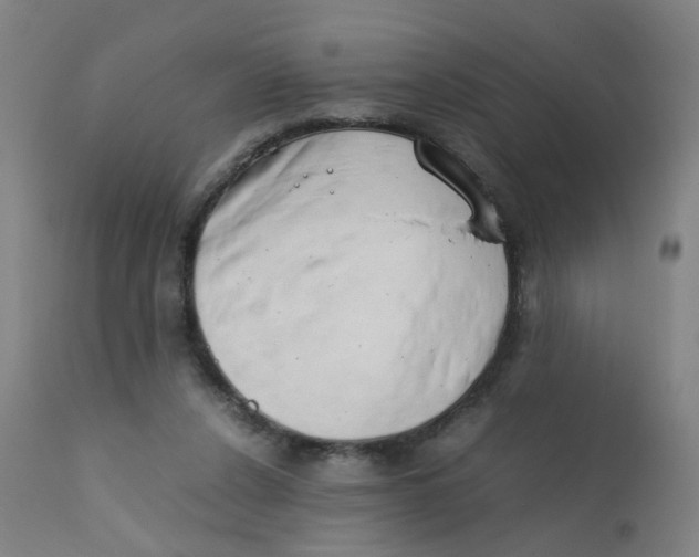 X0000112210256200909041348
