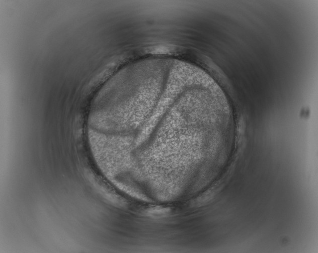 X0000112210257200909041348