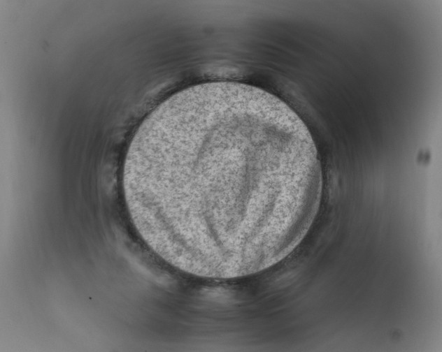 X0000112210259200909041348