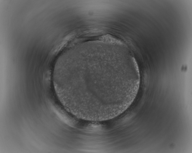 X0000112210260200909041348