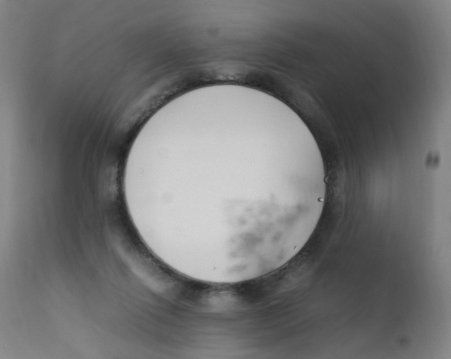 X0000112210262200909041348