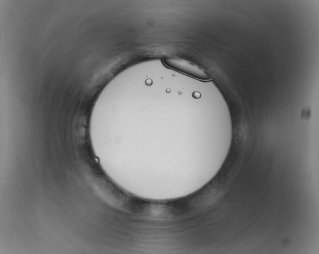 X0000112210264200909041348