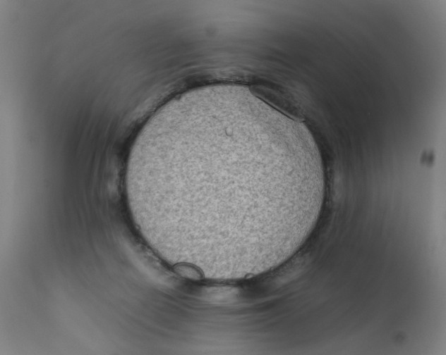 X0000112210266200909041348