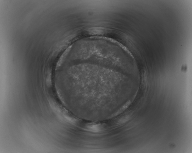 X0000112210267200909041348