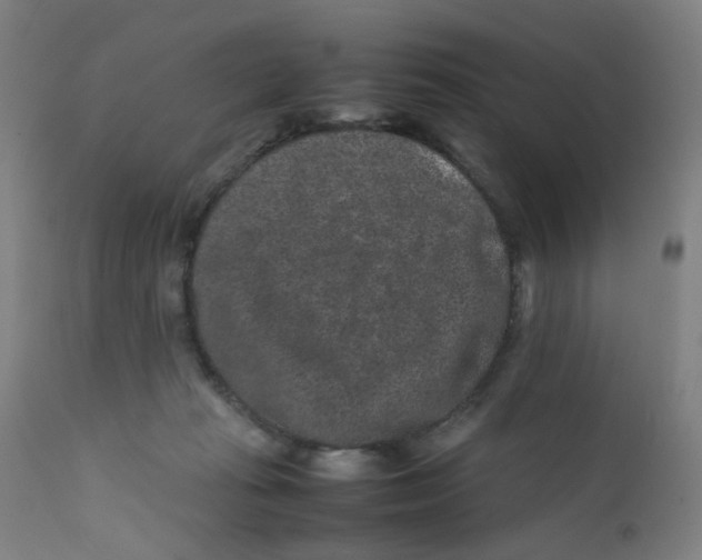 X0000112210269200909041348
